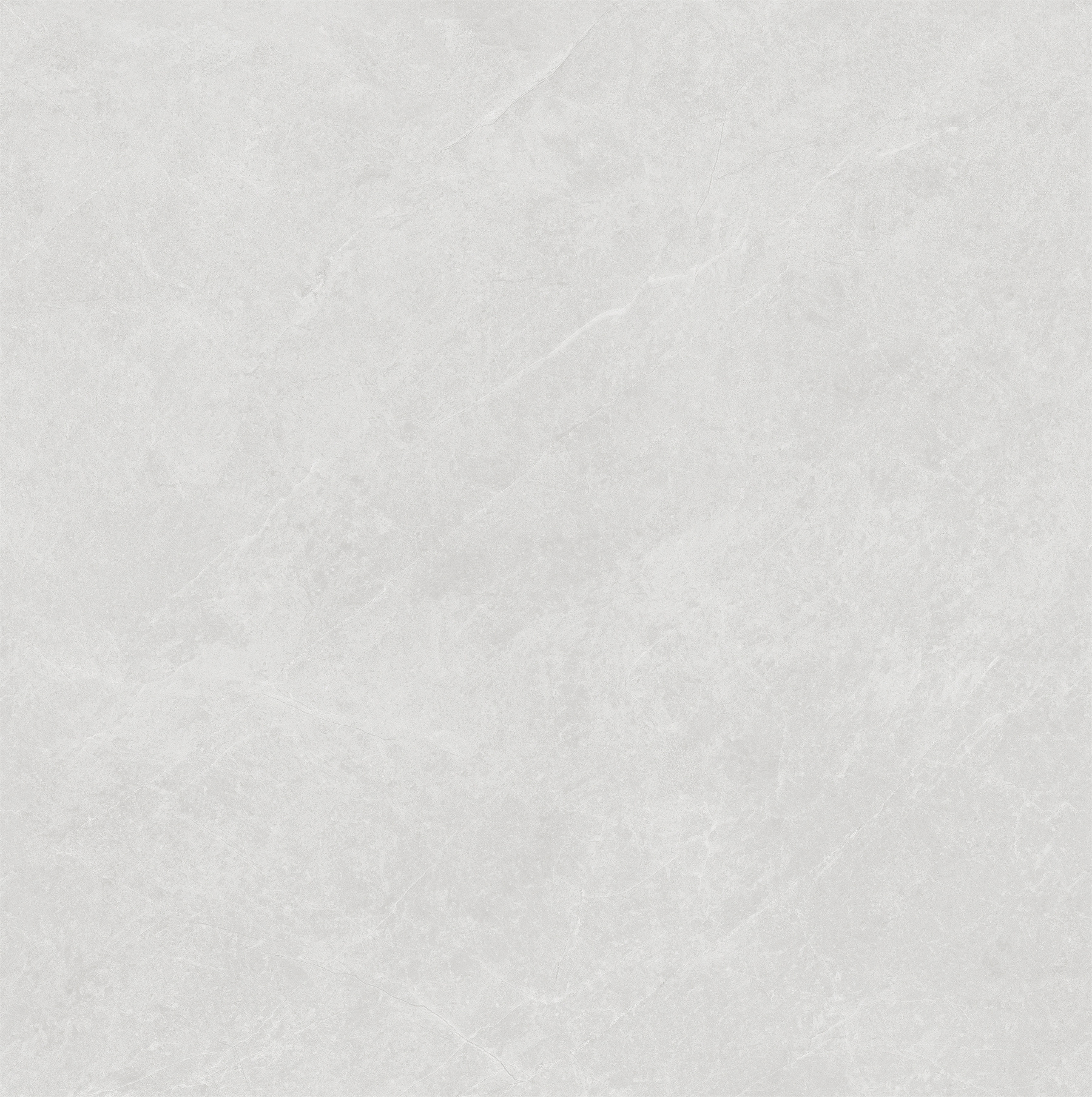 8DL576